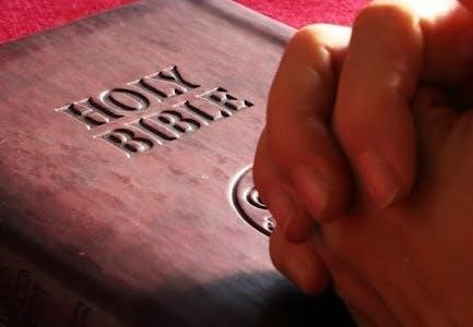 gospel of john study guide pdf