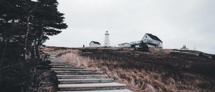 house flipper trophy guide