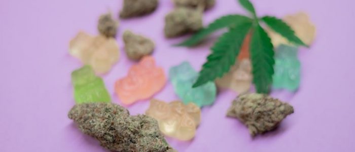 how to make marijuana edibles pdf