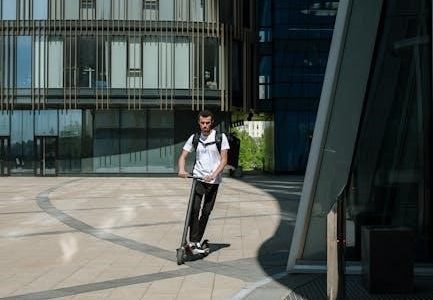 rascal mobility scooter manual pdf